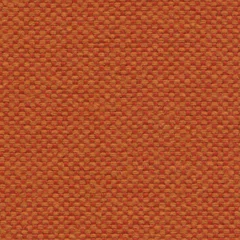 Fidivi Maya, colour 9404
