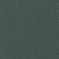 Dani Florida Leather, colour 2012