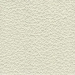 Dani Florida Leather, colour 2001
