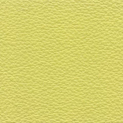 Dani Florida Leather, colour 2134