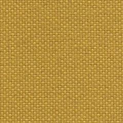 Fidivi Maya, colour 9309