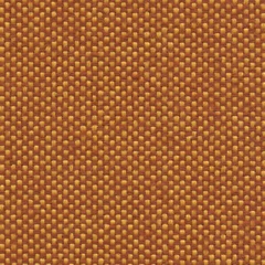 Fidivi Maya, colour 9302
