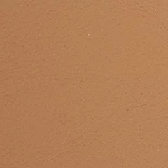 Dani Florida Leather, colour 2020