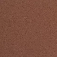 Dani Florida Leather, colour 2038