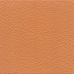 Dani Florida Leather, colour 2070