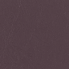 Dani Florida Leather, colour 2088