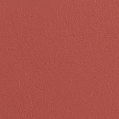 Dani Florida Leather, colour 2202