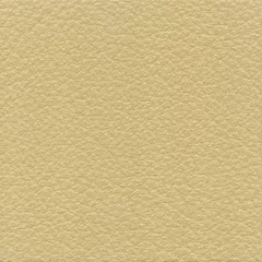 Dani Florida Leather, colour 2194