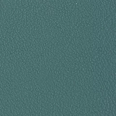 Dani Florida Leather, colour 2014
