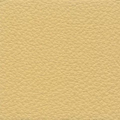 Dani Florida Leather, colour 2118