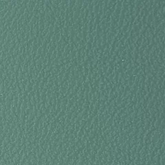 Dani Florida Leather, colour 2016