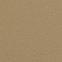 Dani Florida Leather, colour 2054