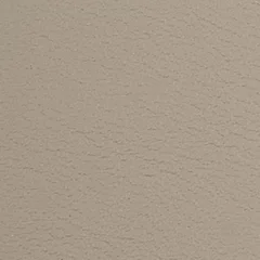 Dani Florida Leather, colour 2106