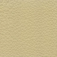 Dani Florida Leather, colour 2004